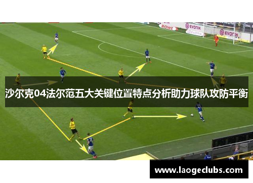 沙尔克04法尔范五大关键位置特点分析助力球队攻防平衡