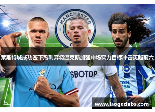 莱斯特城成功签下热刺弃将温克斯加强中场实力目标冲击英超前六 莱斯特城成功签下热刺弃将温克斯加强中场实力目标冲击英超前六